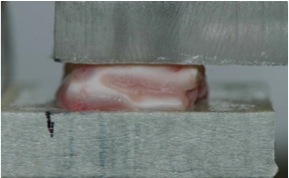 shearing a piece of brain-1