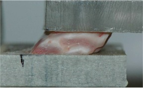 shearing a block of brain2